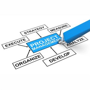 Project management